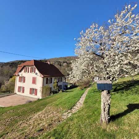 Domaine De La Charriere Sur 63 Ares - 8 Pers Grand Confort Βίλα Neuviller Εξωτερικό φωτογραφία