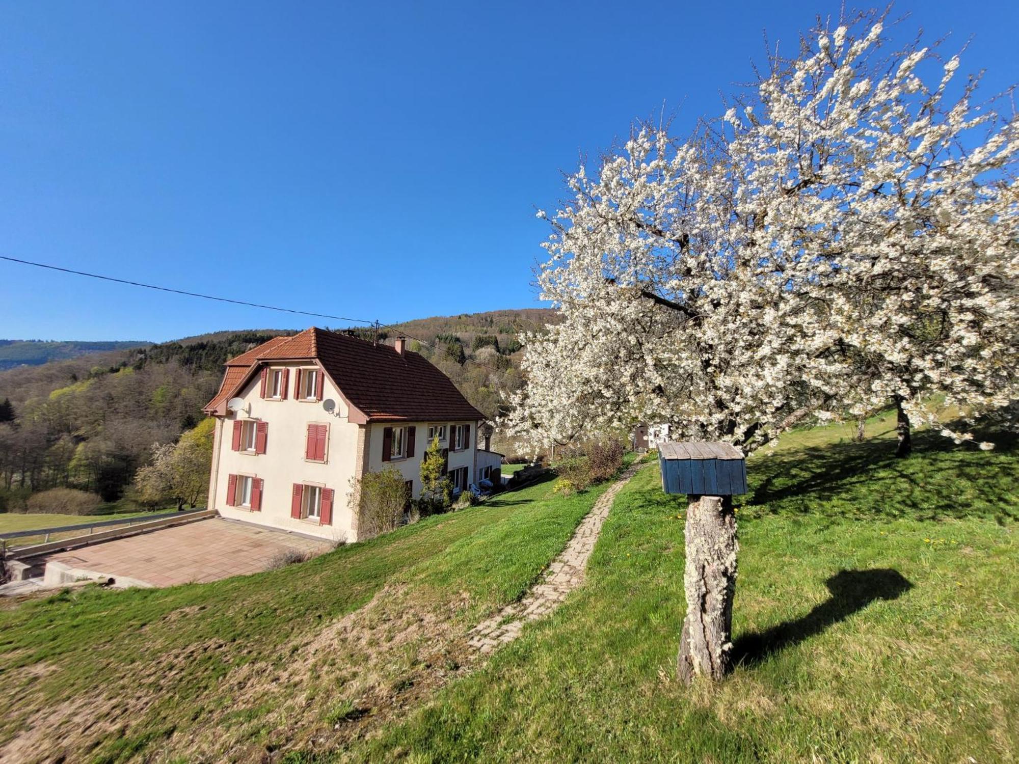 Domaine De La Charriere Sur 63 Ares - 8 Pers Grand Confort Βίλα Neuviller Εξωτερικό φωτογραφία