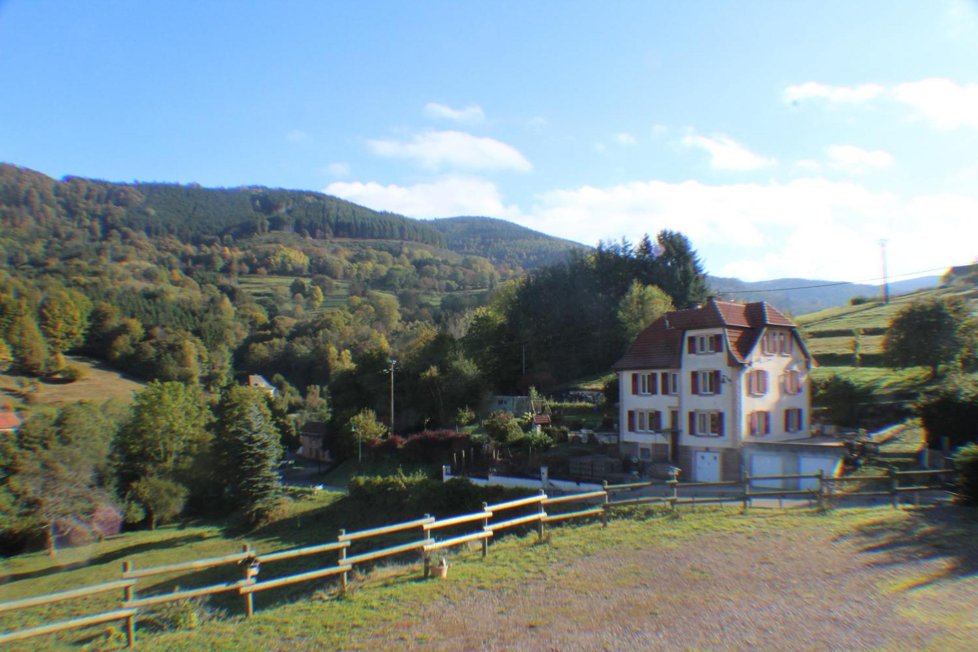 Domaine De La Charriere Sur 63 Ares - 8 Pers Grand Confort Βίλα Neuviller Εξωτερικό φωτογραφία